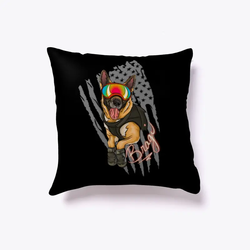 Bragi's throw pillow 